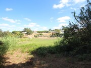 Terreno Rstico - Maceira, Leiria, Leiria - Miniatura: 7/7