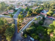 Terreno Rstico - Marinha Grande, Marinha Grande, Leiria - Miniatura: 3/8