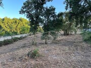 Terreno Rstico - Marinha Grande, Marinha Grande, Leiria - Miniatura: 5/8