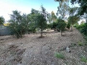 Terreno Rstico - Marinha Grande, Marinha Grande, Leiria - Miniatura: 6/8