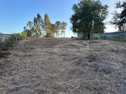 Terreno Rstico - Marinha Grande, Marinha Grande, Leiria - Miniatura: 8/8