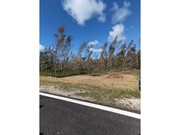 Terreno R�stico - Marinha Grande, Marinha Grande, Leiria - Miniatura: 2/2