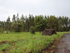 Terreno Rstico - Marinha Grande, Marinha Grande, Leiria