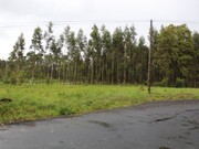 Terreno Rstico - Marinha Grande, Marinha Grande, Leiria - Miniatura: 2/2