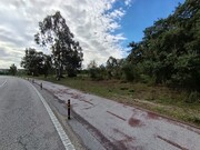 Terreno R�stico - Marinha Grande, Marinha Grande, Leiria - Miniatura: 1/9