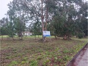 Terreno R�stico - Marinha Grande, Marinha Grande, Leiria - Miniatura: 2/9