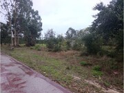Terreno R�stico - Marinha Grande, Marinha Grande, Leiria - Miniatura: 3/9