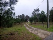 Terreno R�stico - Marinha Grande, Marinha Grande, Leiria - Miniatura: 4/9