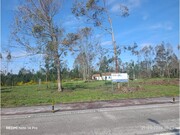Terreno R�stico - Marinha Grande, Marinha Grande, Leiria - Miniatura: 6/9