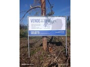 Terreno R�stico - Marinha Grande, Marinha Grande, Leiria - Miniatura: 7/9