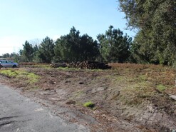 Terreno Rstico - Marinha Grande, Marinha Grande, Leiria