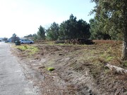 Terreno Rstico - Marinha Grande, Marinha Grande, Leiria - Miniatura: 1/8