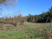 Terreno Rstico - Marinha Grande, Marinha Grande, Leiria - Miniatura: 5/8