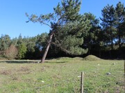 Terreno Rstico - Marinha Grande, Marinha Grande, Leiria - Miniatura: 6/8