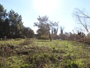 Terreno Rstico - Marinha Grande, Marinha Grande, Leiria - Miniatura: 7/8