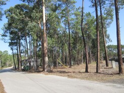 Terreno Rstico - Marinha Grande, Marinha Grande, Leiria