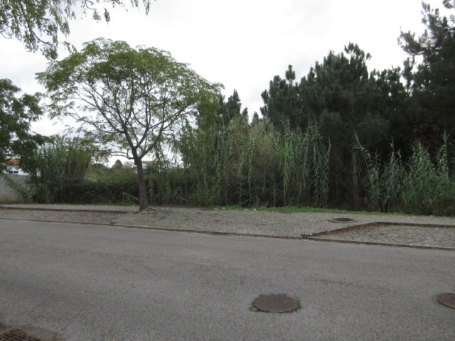 Terreno Rstico - Marinha Grande, Marinha Grande, Leiria - Imagem grande