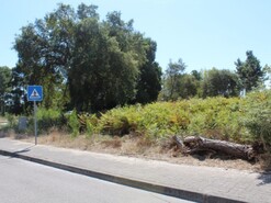 Terreno Rstico - Marinha Grande, Marinha Grande, Leiria