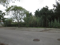 Terreno Rstico - Marinha Grande, Marinha Grande, Leiria