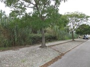 Terreno Rstico - Marinha Grande, Marinha Grande, Leiria - Miniatura: 1/2