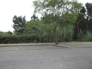Terreno Rstico - Marinha Grande, Marinha Grande, Leiria - Miniatura: 2/2