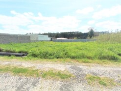 Terreno Rstico - Marinha Grande, Marinha Grande, Leiria