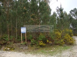 Terreno Rstico - Marinha Grande, Marinha Grande, Leiria