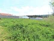 Terreno Rstico - Marinha Grande, Marinha Grande, Leiria - Miniatura: 2/2