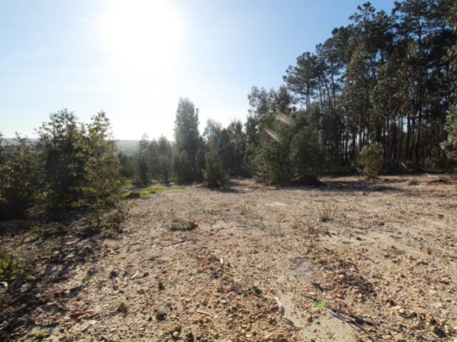 Terreno Rstico - Regueira de Pontes, Leiria, Leiria - Imagem grande