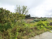 Terreno Rstico - Souto da Carpalhosa, Leiria, Leiria - Miniatura: 3/6