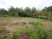 Terreno Rstico - Souto da Carpalhosa, Leiria, Leiria - Miniatura: 5/6