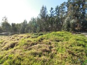 Terreno Rstico - Regueira de Pontes, Leiria, Leiria - Miniatura: 1/9