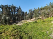 Terreno Rstico - Regueira de Pontes, Leiria, Leiria - Miniatura: 3/9