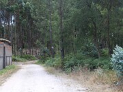 Terreno R�stico - Marinha Grande, Marinha Grande, Leiria - Miniatura: 1/7