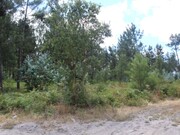 Terreno R�stico - Marinha Grande, Marinha Grande, Leiria - Miniatura: 3/7