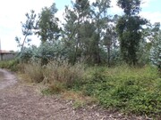 Terreno R�stico - Marinha Grande, Marinha Grande, Leiria - Miniatura: 6/7