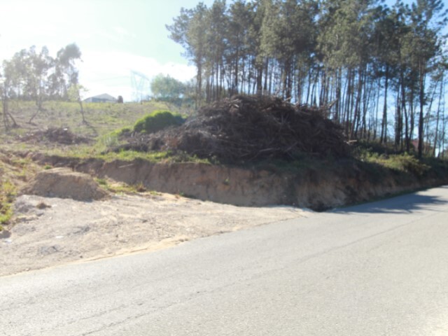 Terreno Rústico - Maceira, Leiria, Leiria - Imagem grande