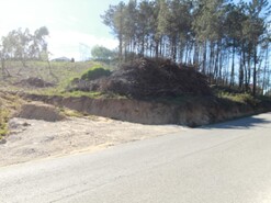Terreno Rstico - Maceira, Leiria, Leiria