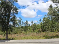 Terreno Rstico - Marinha Grande, Marinha Grande, Leiria