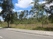 Terreno Rstico - Marinha Grande, Marinha Grande, Leiria - Miniatura: 2/3