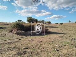 Terreno Rstico T0 - Esprito Santo, Nisa, Portalegre - Miniatura: 8/12