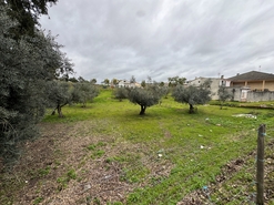 Moradia T3 - Santa Margarida da Coutada, Const�ncia, Santar�m - Miniatura: 37/39