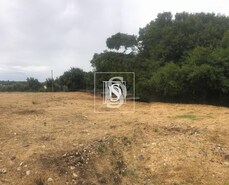Terreno Rstico T0 - Margem, Gavio, Portalegre - Miniatura: 9/10