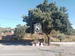 Moradia T5 - Arz, Nisa, Portalegre - Miniatura: 14/21