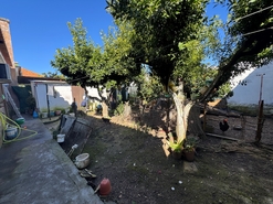 Moradia T4 - Avis, Avis, Portalegre - Miniatura: 26/26
