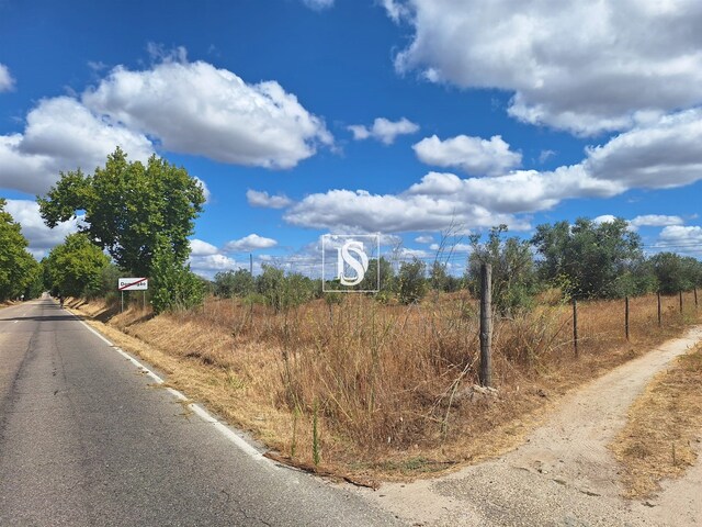 Terreno R�stico - Ponte de Sor, Ponte de Sor, Portalegre - Imagem grande