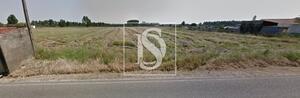 Terreno R�stico - Marinhais, Salvaterra de Magos, Santar�m - Miniatura: 1/1
