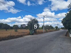 Terreno R�stico - Ponte de Sor, Ponte de Sor, Portalegre - Miniatura: 6/19