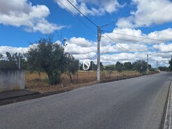 Terreno R�stico - Ponte de Sor, Ponte de Sor, Portalegre - Miniatura: 9/19