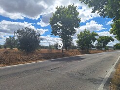 Terreno R�stico - Ponte de Sor, Ponte de Sor, Portalegre - Miniatura: 11/19